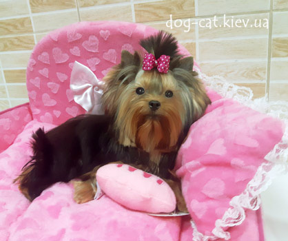    .          "Mon Bijou"! .  .