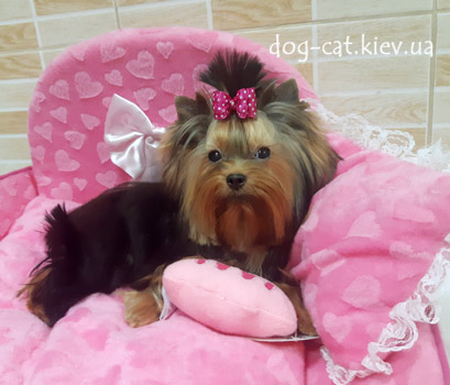    .          "Mon Bijou"! .  .