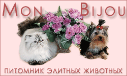 Mon Bijou -
Племенной питомник элитных животных. Йоркширские терьеры и персидские
кошки. Продажа щенков и котят. Модельная стрижка йорков.